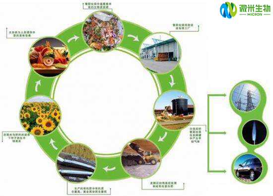 微米生物：餐厨垃圾处理设备的适用范围及各地垃圾解决现况