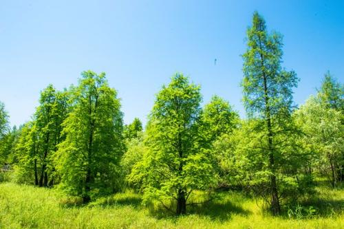 微米生物：餐厨垃圾长久堆放产生什么可怕后果？