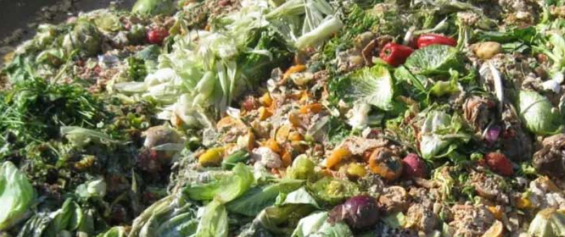 超市食品垃圾、餐厨垃圾和果蔬市场垃圾怎么处理