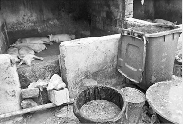 上海生活垃圾管理变迁史是因为什么开始什么原因呢？——餐厨垃圾历史